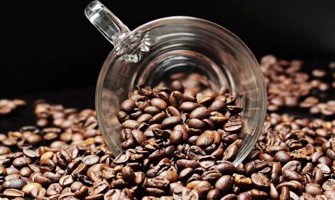 Quelles démarches suivre pour bien choisir son café en grains ?