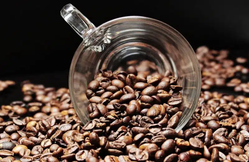 Quelles démarches suivre pour bien choisir son café en grains ?