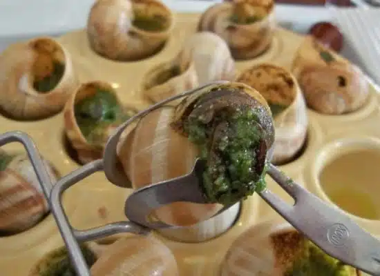 La cuisson des escargots surgelés astuces et techniques pour les préparer