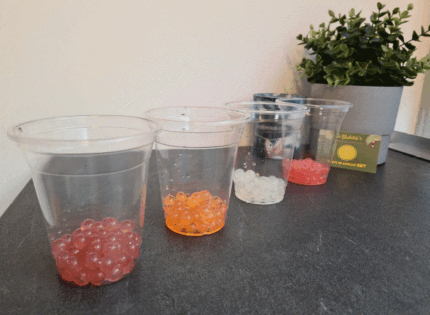 Bubble Tea minceur [Guide minceur]