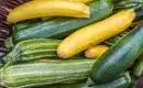 Tout savoir sur la courgette jaune